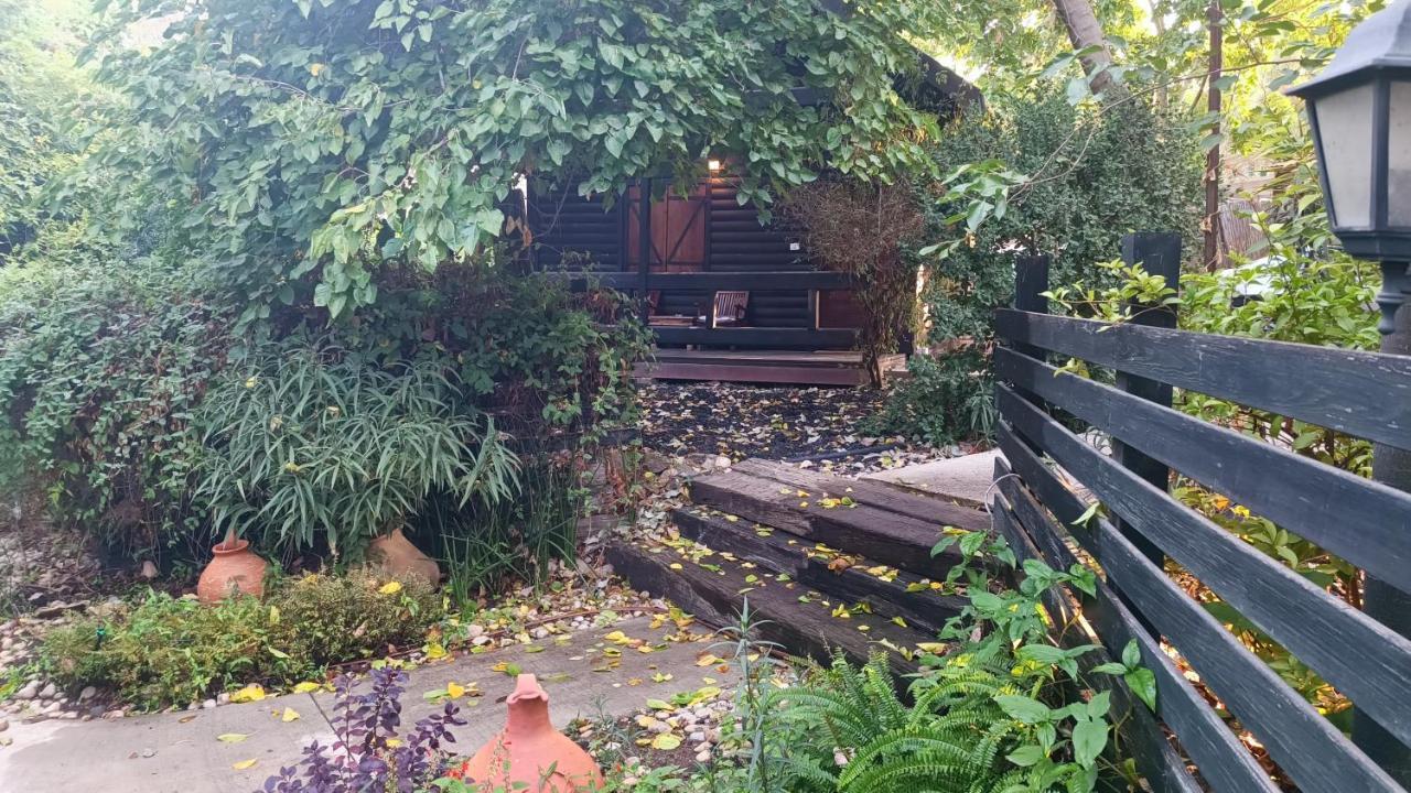 Cabin Resort Ramot Екстериор снимка